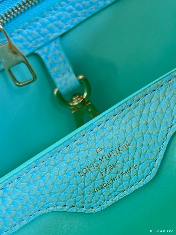 Aaa replica bags VUITTON BB LOUIS CAPUCINES 0807